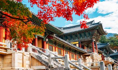 Major Travel South Korea