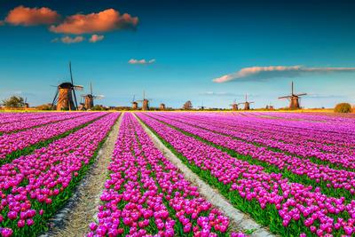 Riviera Travel Amsterdam